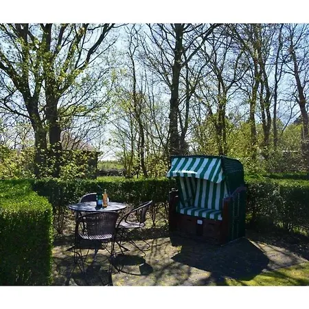 Island Amrum Comfortable