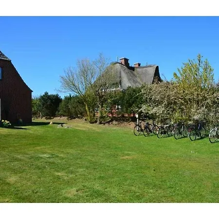 Island Amrum Comfortable 3* Nebel