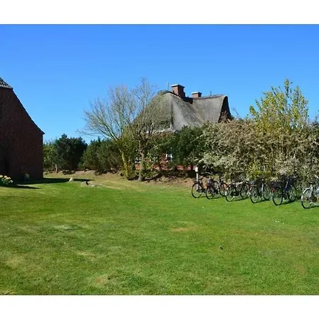 Island Amrum Comfortable 3* Nebel